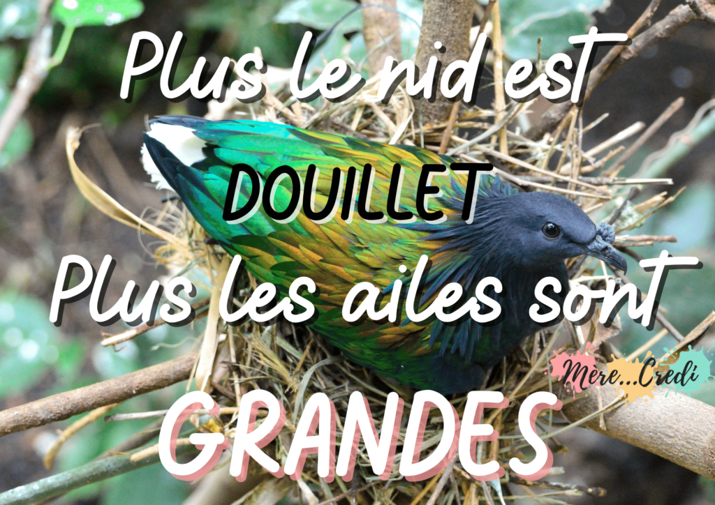 tu es grand maintenant